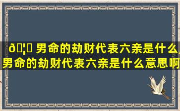 🦅 男命的劫财代表六亲是什么,男命的劫财代表六亲是什么意思啊